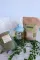 Moringa Powder and Flakes Pack A Punch